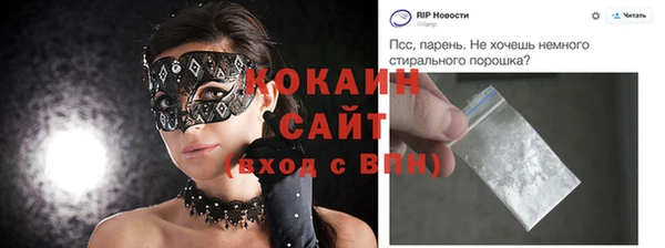 Альфа ПВП Бородино