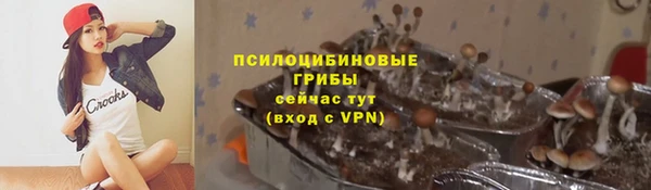 соль ск Бронницы