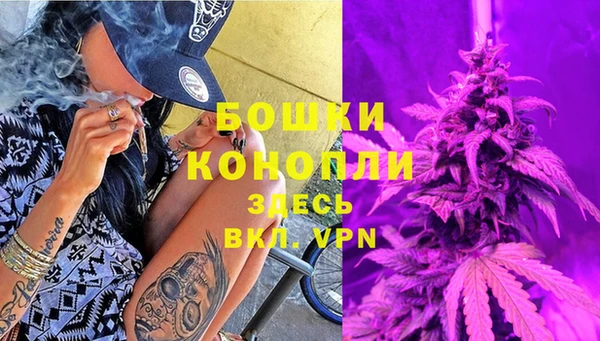 Альфа ПВП Бородино