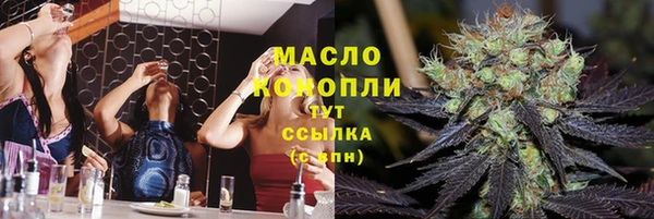 Альфа ПВП Бородино